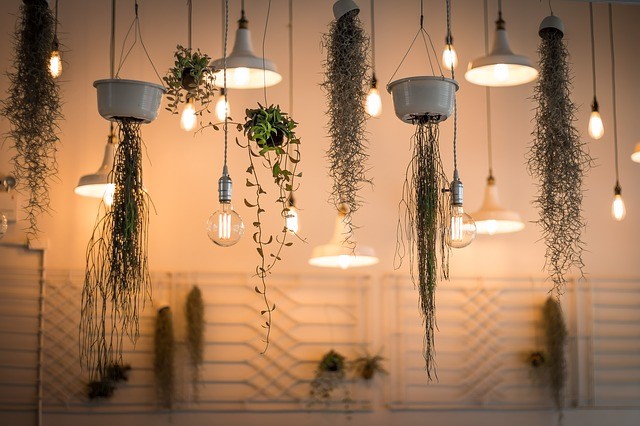 Kreativ belysning med växter och dagsljus